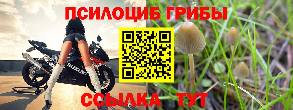 Галлюциногенные грибы прущие грибы Звенигород