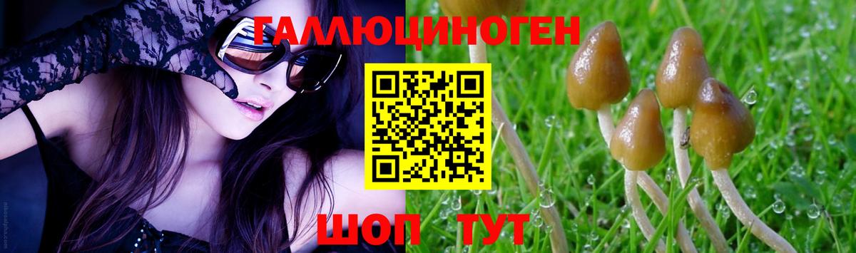 Звенигород  Галлюциногенные грибы мицелий  Вход с VPN 